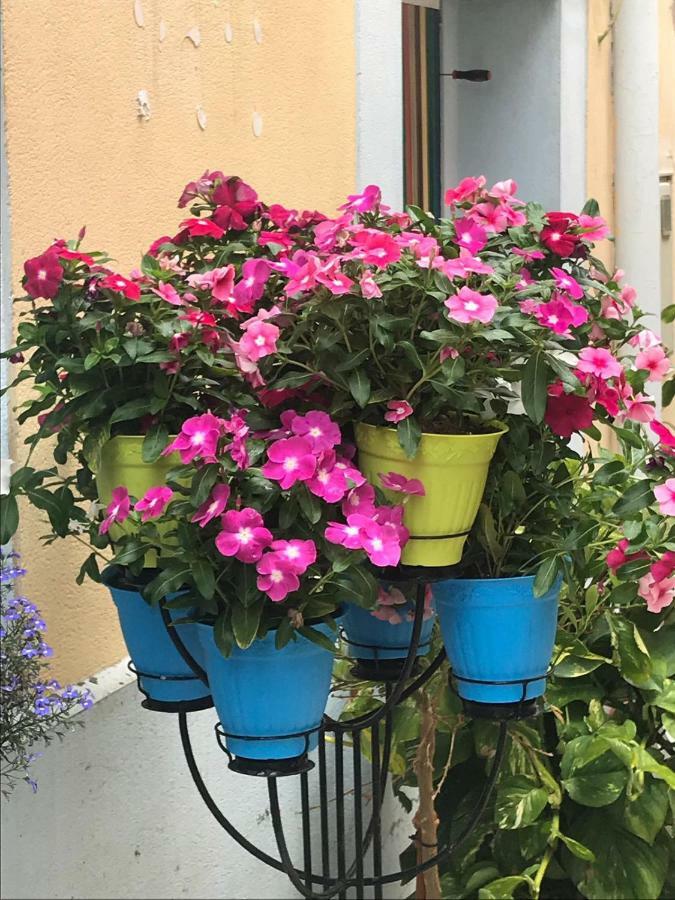 Apartament Casita Vista Loca Alicante Zewnętrze zdjęcie